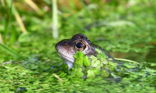 2f9efc22-48a7-47cd-85be-fa611fae96b8-620x372